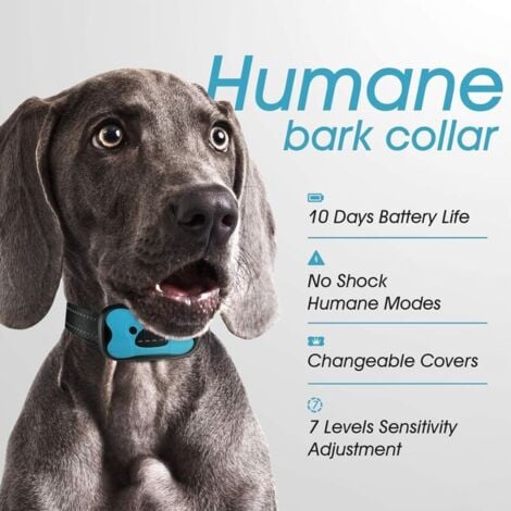 Collare antiabbaio automatico ricaricabile per cani, collare di addestramento con vibrazione antiurto/rumore, 7 livelli di sensibilità per cani di taglia media - Blu
