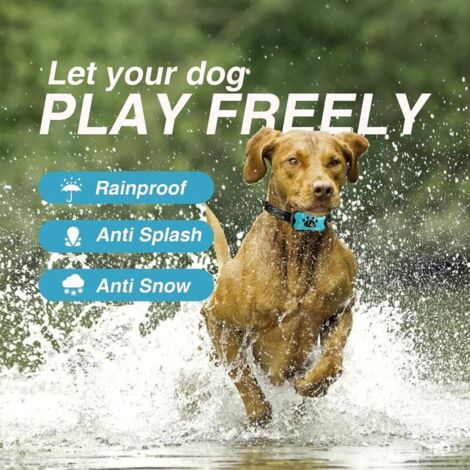 Collare antiabbaio automatico ricaricabile per cani, collare di addestramento con vibrazione antiurto/rumore, 7 livelli di sensibilità per cani di taglia media - Blu