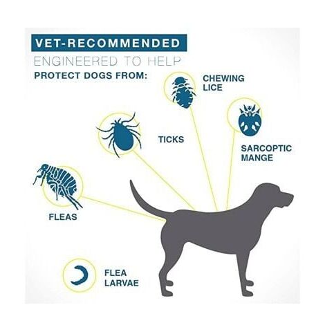 Collare antipulci e zecche per cani - Grigio, regolabile, impermeabile, protezione efficace per 8 mesi