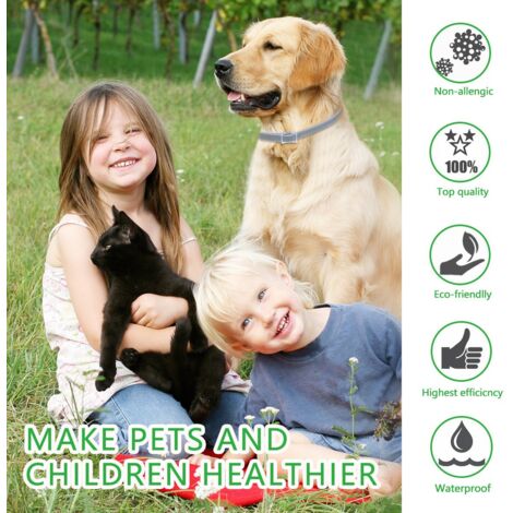 Collare antipulci e zecche per cani - Grigio, regolabile, impermeabile, protezione efficace per 8 mesi