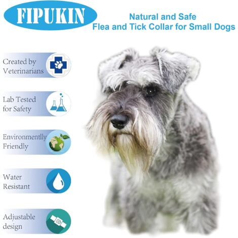 Collare antipulci e zecche per cani - Arancione, regolabile, impermeabile, 8 mesi di protezione efficace