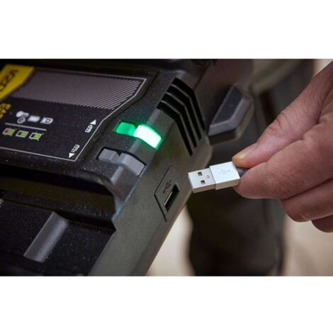 Stanley Accessori - Caricabatterie da 4A con 2 porte, per batterie da 18 V SFMCB24-QW