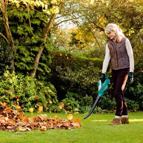 Bosch ALB 18 LI - Soffiatore di foglie (210 km/h, 60 dB, 80 dB, 2.5 m/s², 1.5 m/s²), Nero/ Verde