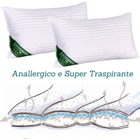EVERGREENWEB - Coppia Cuscini Letto in MEMORY FOAM e oli essenziali di SOIA 40x70 alti 12 cm, Imbottitura con Fiocchi 100% Schiuma a Memoria CERVICALI, fodera Antiacaro, Guanciali per Dormire, OFFERTA