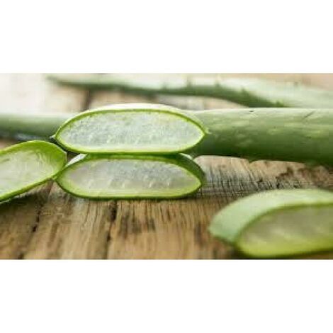 EVERGREENWEB - Cuscino Cervicale 40x70 alto 911 cm, Modello Doppia Onda 100% MEMORY FOAM, fodere ALOE VERA e COTONE Sfoderabile, Guanciale Letto per Dolori al Collo con DISPOSITIVO MEDICO, Offerta