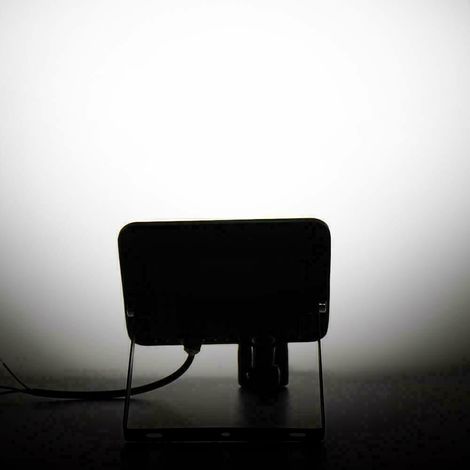 Faro LED 20W Faretto Slim Con Sensore Movimento PIR luce fredda 6000k IP66