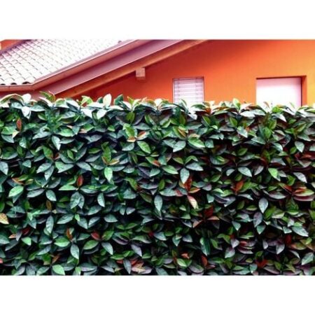 Siepe sintetica artificiale PHOTINIA foglia ZIGRINATA m 1x1