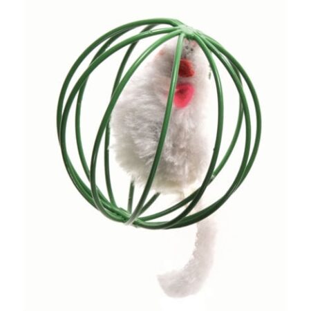 Topo grigio in palla verde gioco per gatti