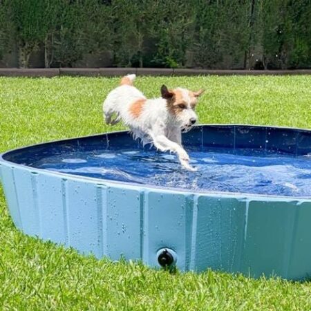 Ibañez Piscina per cani PISCINA - TAGLIA L