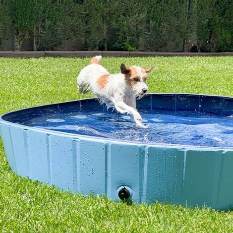 Ibañez Piscina per cani PISCINA - TAGLIA L