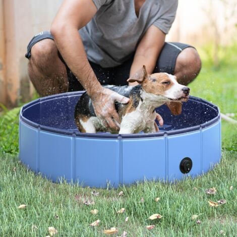 PawHut Piscina Pieghevole per Cani in Plastica con Bordo Stabile