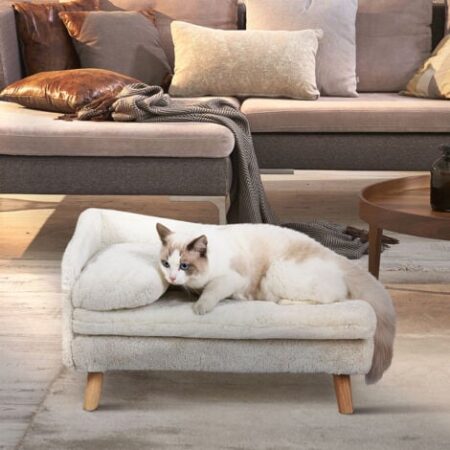 Divano per gatti cani Divanetto Taglia Piccola Letto per Cani Rialzato Cuccia Morbida con Cuscino, Beige 70x38x32cm