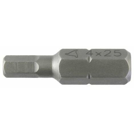 LTI INSERTO ESAGONO INCASSATO D 3X25 MM 10 PZ