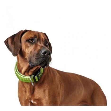 Hunter vario basic yarn - m -l- collare per cani, lime