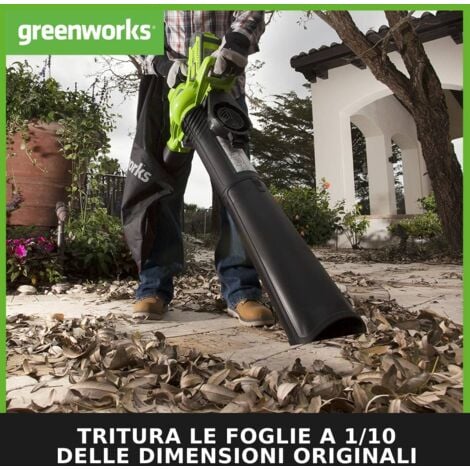 Greenworks GD40BV Aspiratore Soffiatore a Batteria per Foglie, con Motore Brushless, 280km/h, 9,63m³/min, Sacco di Raccolta da 45L, SENZA Batteria 40V e Caricabatterie, Garanzia 3 Anni