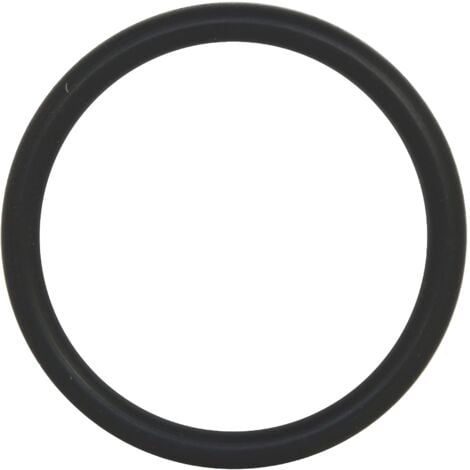 SOMATHERM FOR YOU //61-40 SOMATHERM FOR YOU-//61-40-O-ring per scarico lavello dimensione Ø (40/49) Tipologia: Guarnizione scaricoPer: Tubo diametro 40 mm, None