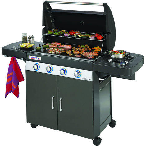 Barbecue  4 Series Ls Plus Dual Gas