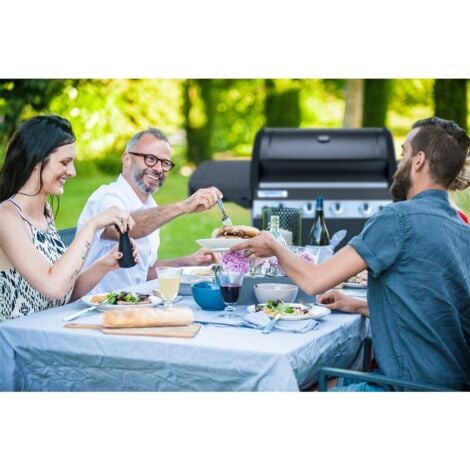 Barbecue  4 Series Ls Plus Dual Gas