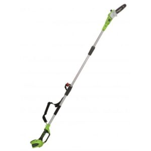 Potatore ad asta a batteria Greenworks GS40PSF (solo corpo macchina)