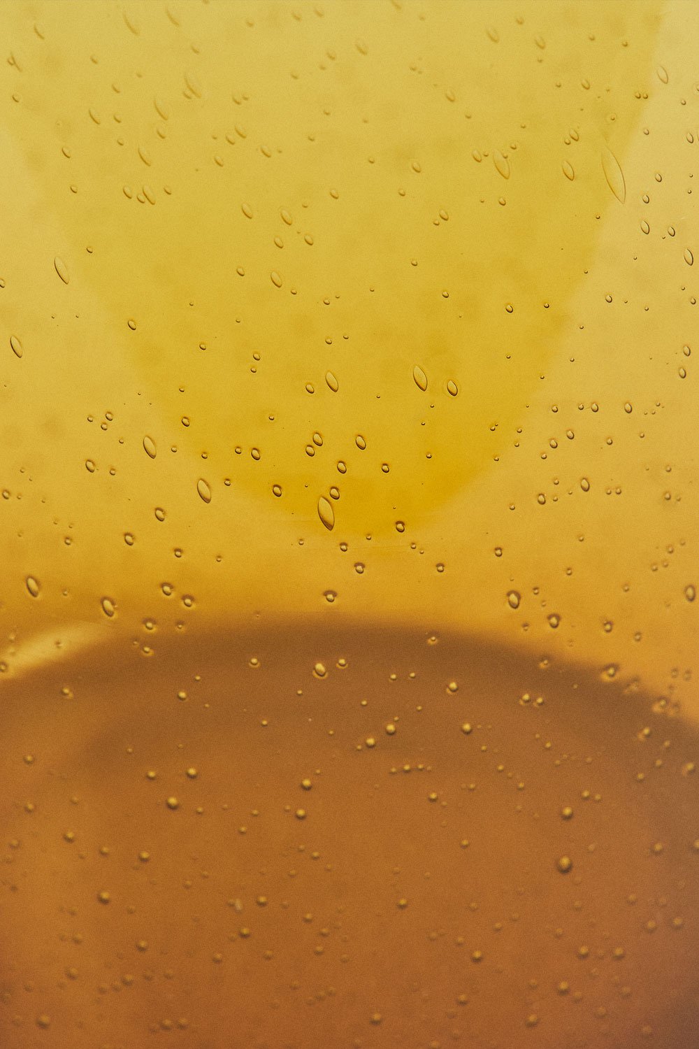 Caraffa in vetro Gulix da 1,5 L