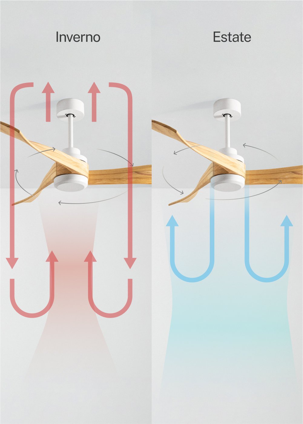 CREATE - WIND CURVE - Ventilatore da soffitto 40W silenzioso Ø132 100% legno