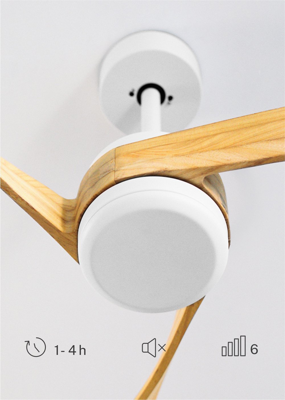 CREATE - WIND CURVE - Ventilatore da soffitto 40W silenzioso Ø132 100% legno
