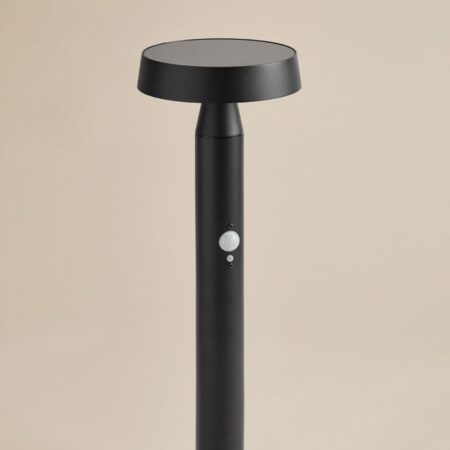 Faro LED solare da esterno Bravissia in acciaio inox
