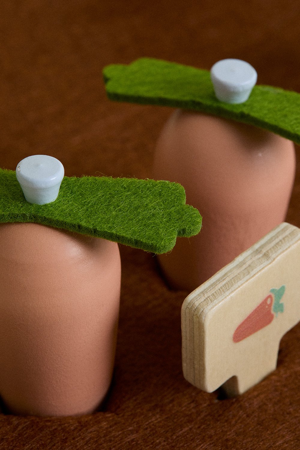 Giardino biologico in legno Ariaga Kids