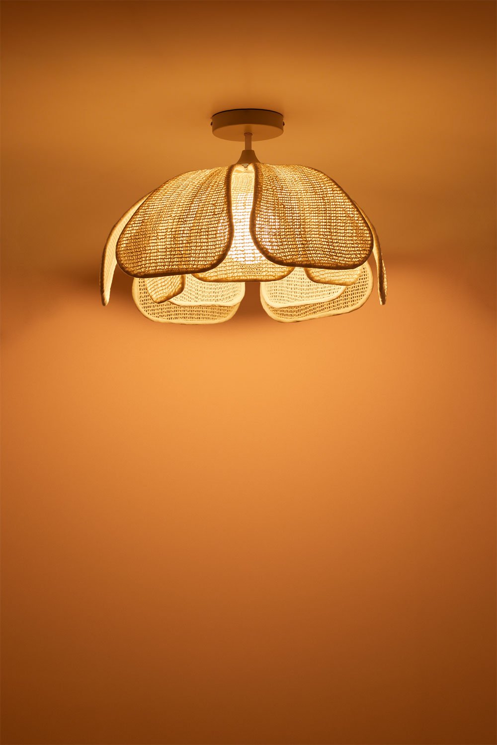 Plafoniera da soffitto Vidson