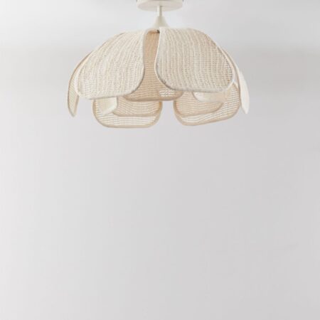 Plafoniera da soffitto Vidson