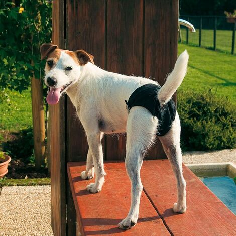 Ferplast CULOTTE IGIENICA  Culotte igienica contenitiva per cani. Varie misure.. Variante MAXI - Misure: 71-78 cm -