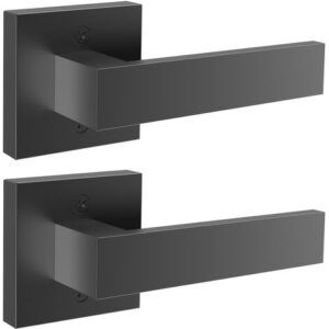VEVOR Maniglie Decorative per Porta, 2 Maniglie Spingi/Tira su Lato Singolo Non Girevoli, Set di Maniglia Nera per Porta Lato Destro & Sinistro per Porta Senza Lucchetto, Maniglie per Porta 2 Pezzi