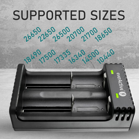 everActive Caricabatterie per 2 batterie dedede Lithium Ion 18650 Professional Fast Micro USB Modello LC-200, Nero