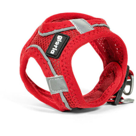 Imbracatura per dog gloria trek star 24-26 cm 28-28,6 cm red xxs