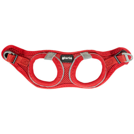Imbracatura per dog gloria trek star 24-26 cm 28-28,6 cm red xxs