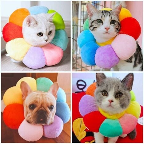 Collare di recupero per gatti Collare protettivo regolabile con bordo morbido e traspirante Collare protettivo per animali domestici, girasole colorato, M, soleggiato