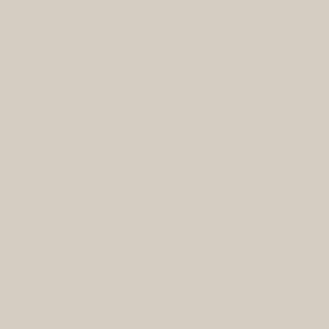 MaxMeyer Idropittura Colorata Superlavabile per Interni, Luna, 2.5L