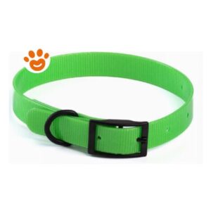 Leopet Collare Riflettente In Biothene  – Leopet Collare Riflettente In Biothene – Verde, 2,5 x 60 cm