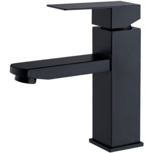 Rubinetto del Bagno Miscelatore per Lavabo a Due vie per Bagno Rubinetto per Lavabo in Acciaio Inossidabile Rubinetto per Lavabo Moderno
