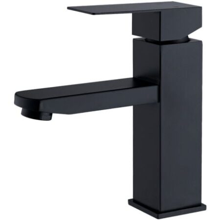 Rubinetto del Bagno Miscelatore per Lavabo a Due vie per Bagno Rubinetto per Lavabo in Acciaio Inossidabile Rubinetto per Lavabo Moderno