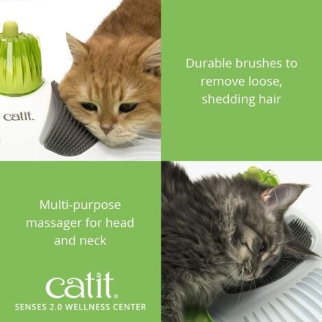 Catit Senses Centro Benessere per Gatti