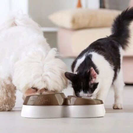Doppia Ciotola Bama Per Cani e Gatti Ciotolotto Con Riserva Acqua In Vari Colori