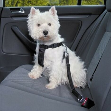 Cintura di sicurezza da auto per cani e gatti con aggancio universale