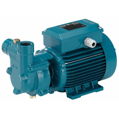 Calpeda CAM 80E pompa autoadescante ad anello liquido Monofase 0,45Kw per pompare acqua con gas professionale