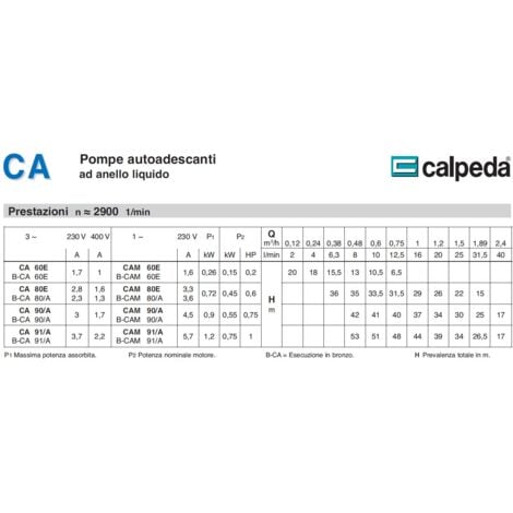 Calpeda CAM 80E pompa autoadescante ad anello liquido Monofase 0,45Kw per pompare acqua con gas professionale