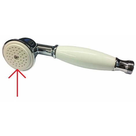 Ricambio diffusore doccetta Delfi Zucchetti R99328
