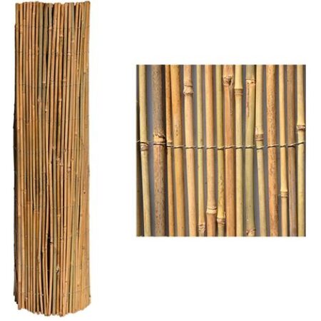 ARELLA FILO ESTERNO 'MISTER' cm 250 x 300 LIF