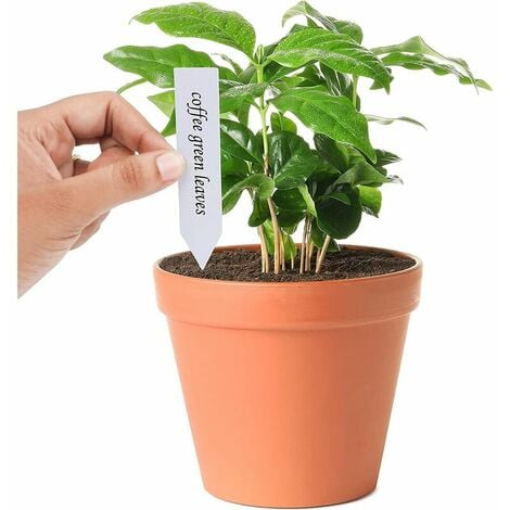 Etichette per orto in plastica multicolore (confezione da 500) - 10 x 2 cm - Cartello per orto/Etichetta per giardino impermeabile in 5 colori per vivaio, semi, piante ed erbe aromatiche,