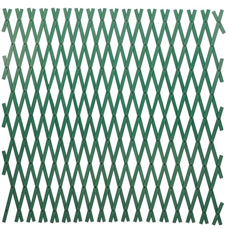 Traliccio Estensibile in Pvc colore Verde 2X1 Mt tipo rinforzato