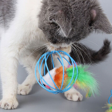 Cat Kitten Toy Interactive Rolling Cat Ball Toy Gabbia all'interno Mouse Feather Game Toy 1pc (colore casuale)